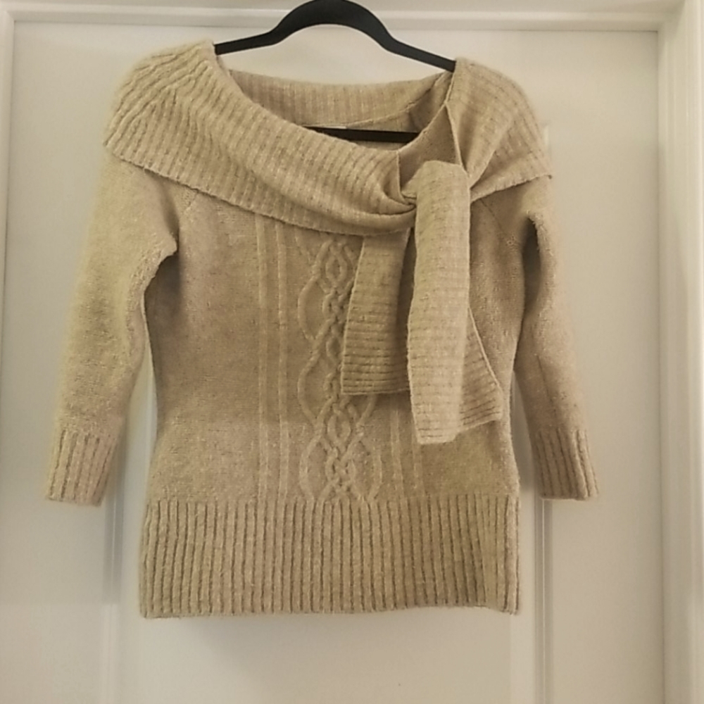 Ann Taylor LOFT sweater
